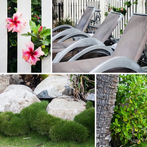 Coolum Caprice - Timeshare Accommodation 22
