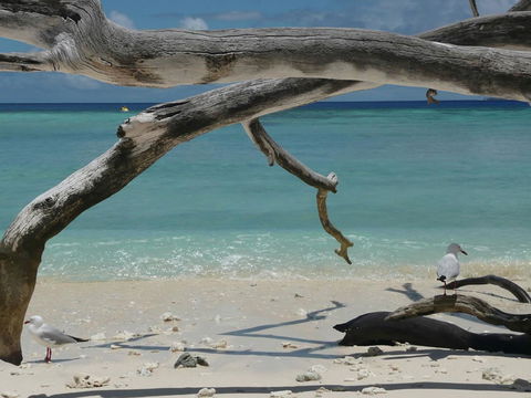Tranquility By The Course Port Douglas - Timeshare Accommodation 18
