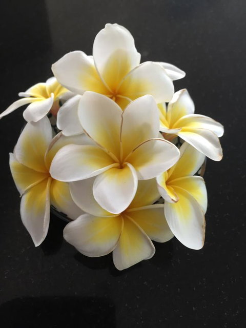 Bella By The Beach - Timeshare Accommodation 25