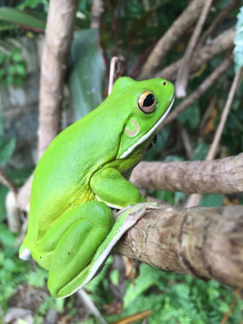 Bella By The Beach - Timeshare Accommodation 15