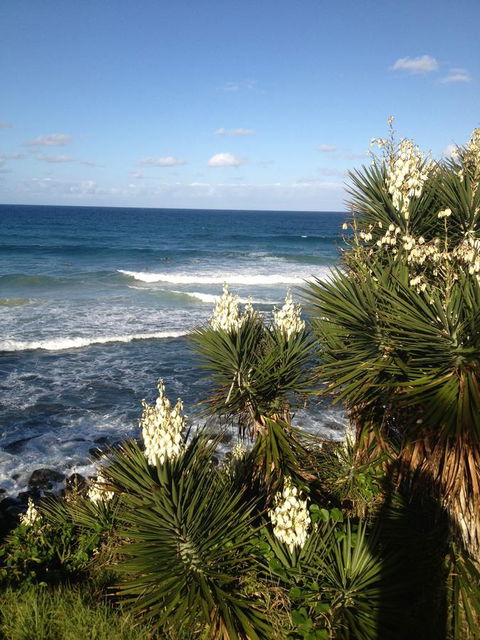 Oceania On Burleigh Beach - Timeshare Accommodation 23