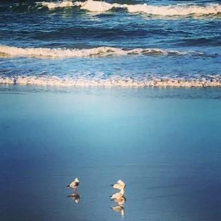 Oceania On Burleigh Beach - Timeshare Accommodation 40