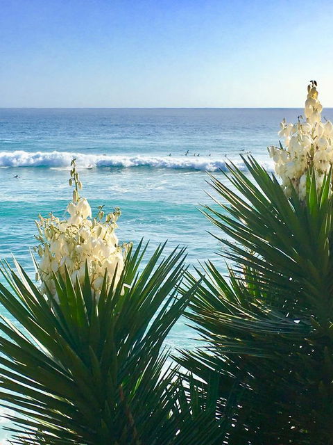 Oceania On Burleigh Beach - Timeshare Accommodation 21