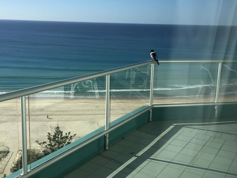 Ocean Plaza Resort - Timeshare Accommodation 28