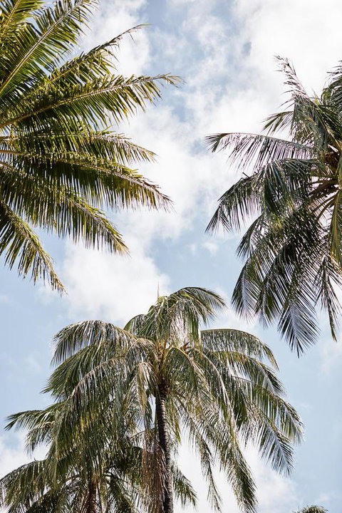 Novotel Cairns Oasis Resort - Timeshare Accommodation 9