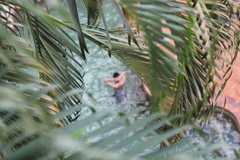 Coral Tree Inn - Timeshare Accommodation 36