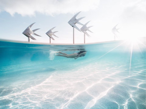 Coral Tree Inn - Timeshare Accommodation 39