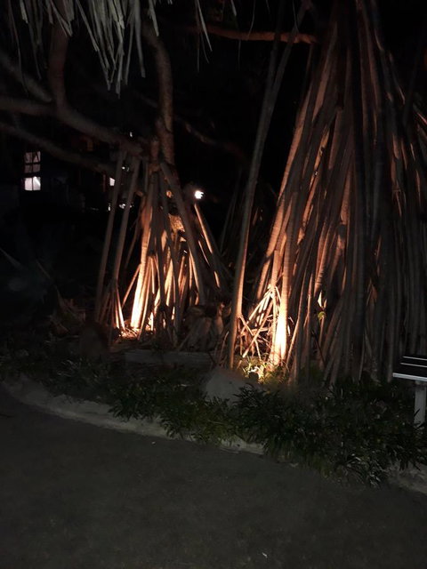 Pandanus Coolum Beach - Timeshare Accommodation 10