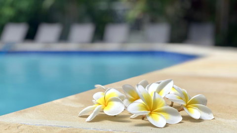Hi Ho Beach Apartments On Broadbeach - Timeshare Accommodation 2