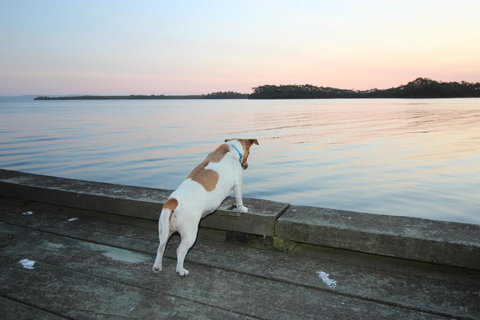 Wheelhouse Apartments - Timeshare Accommodation 2