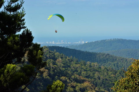 Willow Cabin - Timeshare Accommodation 1