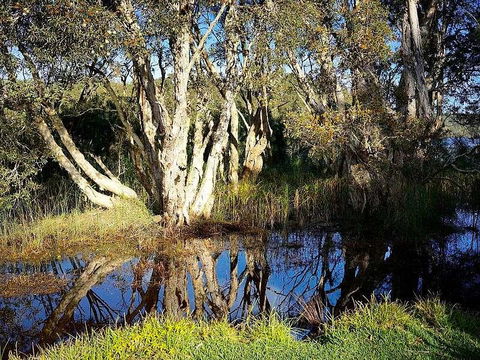 Wisteria Cottage On The Lagoon/Beach - Timeshare Accommodation 2