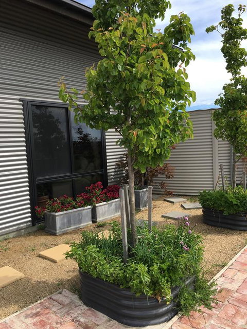 Woolamai Dreaming - Timeshare Accommodation 2
