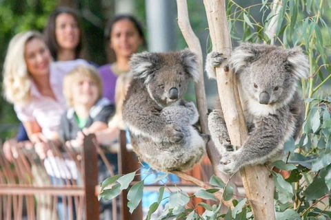 A 3BR Apt Next To Melbourne Zoo FREE Parking - Timeshare Accommodation 2