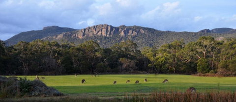 A Boat In The Grampians - Timeshare Accommodation 0