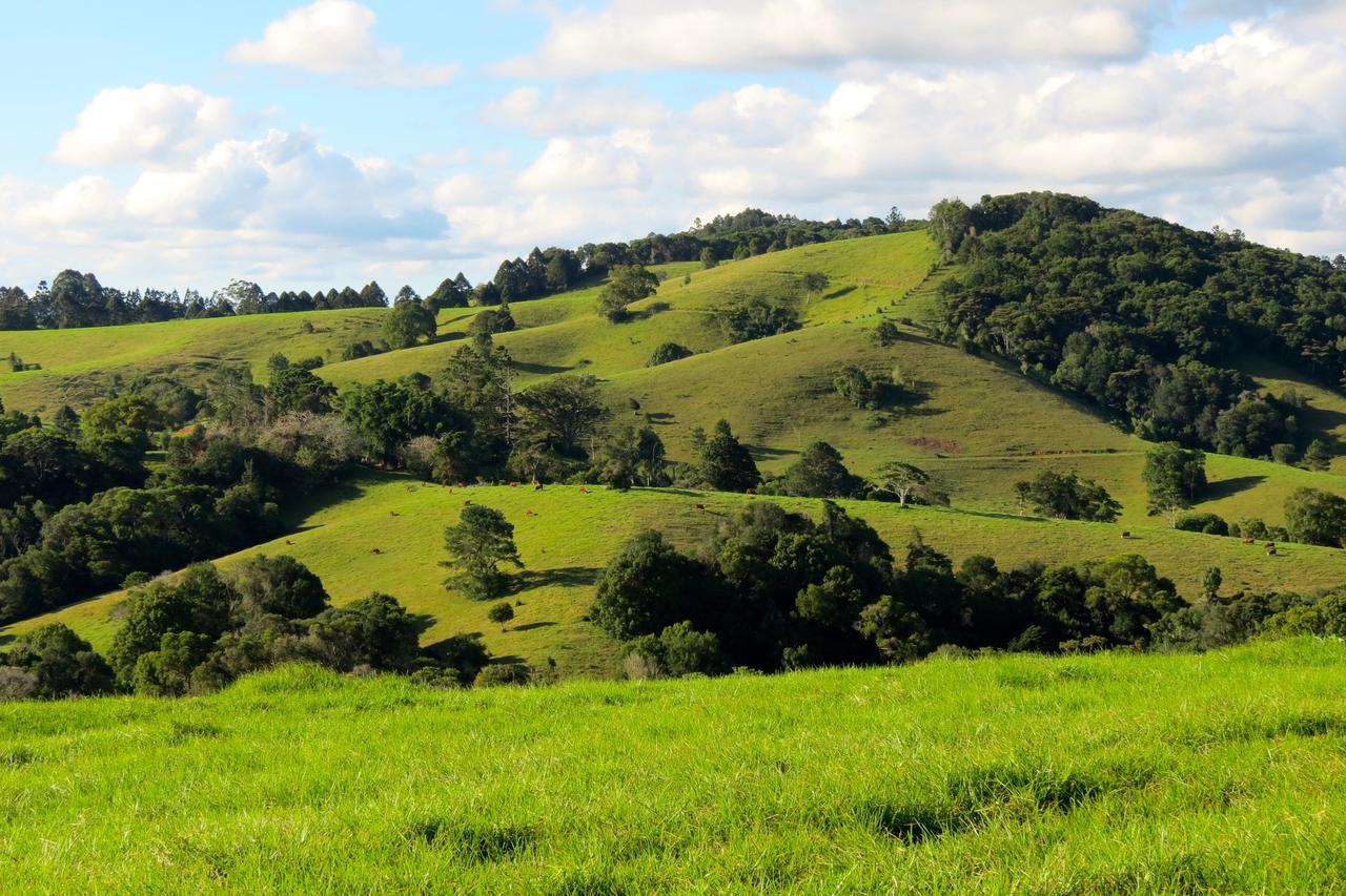 Reesville QLD Timeshare Accommodation