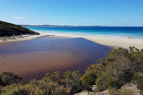 Vivonne Bay Island Getaway - Timeshare Accommodation 21