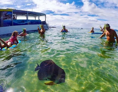 Magnetic Island Guest House - Timeshare Accommodation 20