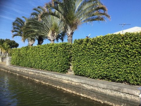 Private Canal Duplex With Pontoon - Oleander Drive, Bongaree - Timeshare Accommodation 8