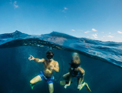 Manta Lodge YHA & Scuba Centre - Timeshare Accommodation 12