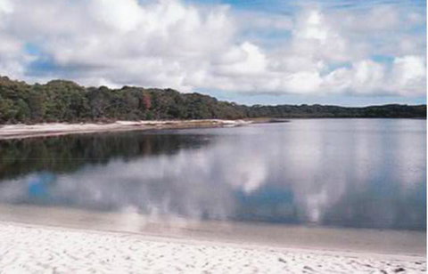 King Island Accommodation Cottages - Timeshare Accommodation 17