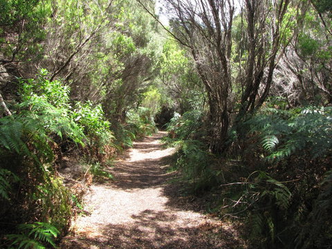 King Island Accommodation Cottages - Timeshare Accommodation 12