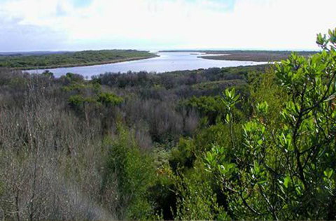 King Island Accommodation Cottages - Timeshare Accommodation 20