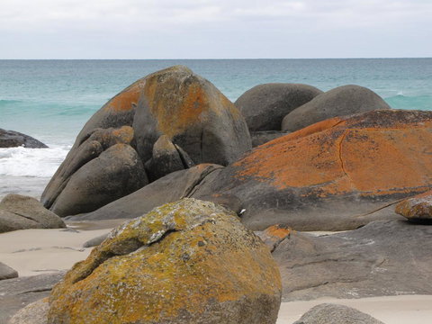 King Island Accommodation Cottages - Timeshare Accommodation 40