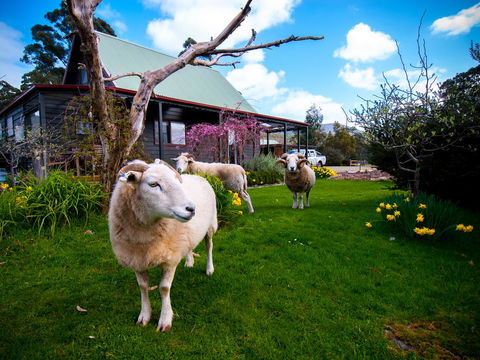 Parnella Adventure Bay, Bruny Island - Timeshare Accommodation 19