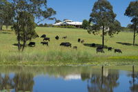 Book Nabiac Accommodation Vacations Timeshare Accommodation Timeshare Accommodation