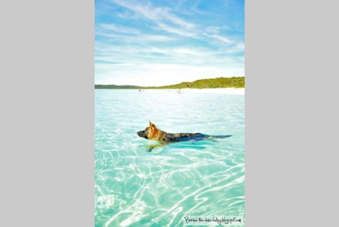 24 Hyam Road Hyams Beach - Timeshare Accommodation 1