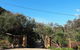 BLAIRGOWRIE POOLSIDE....resort Style Living - thumb 3