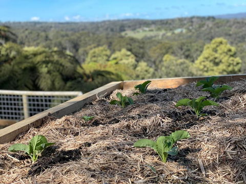 Cloud View Garden - Timeshare Accommodation 3