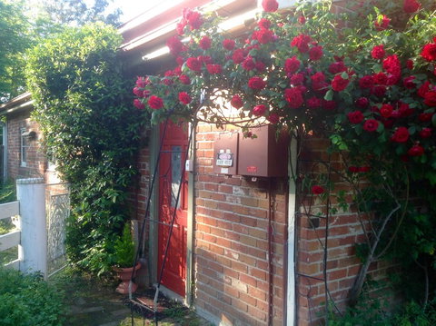 A Country Barn Retreat - Timeshare Accommodation 2