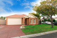 Book Craigieburn Accommodation Vacations Timeshare Accommodation Timeshare Accommodation