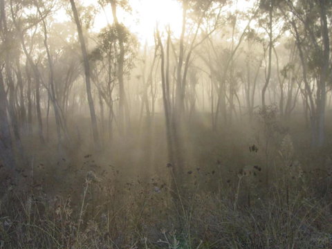 Fergies Hill Spa Cottage @ Granite Ridge Wines - Timeshare Accommodation 1