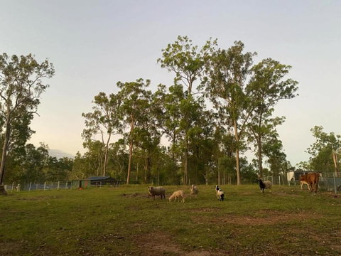 Gemmas Animal Farm By Tiny Away - Timeshare Accommodation 1