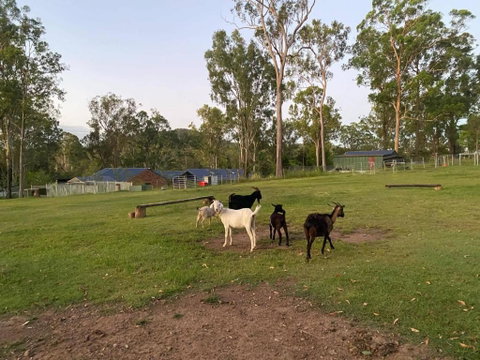Gemmas Animal Farm By Tiny Away - Timeshare Accommodation 2