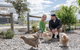 Gumnut Cottage Gippsland - Tiny Romantic Escape W King Bed Mountain Views - thumb 3