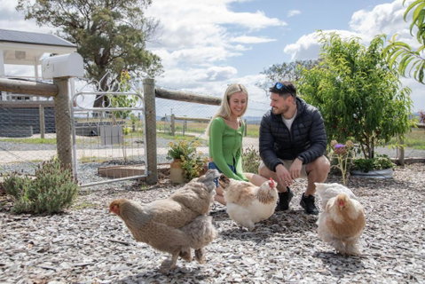 Gumnut Cottage Gippsland - Tiny Romantic Escape W King Bed Mountain Views - Timeshare Accommodation 3