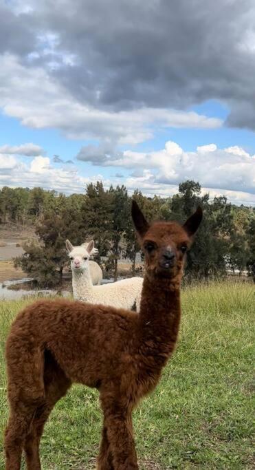 Hill Top Tiny River House - Timeshare Accommodation 1