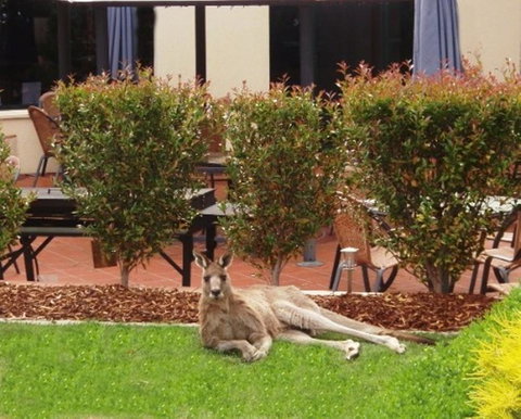 Alpha Hotel Canberra - Timeshare Accommodation 1
