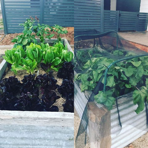 AMs Farm Stay - Timeshare Accommodation 3