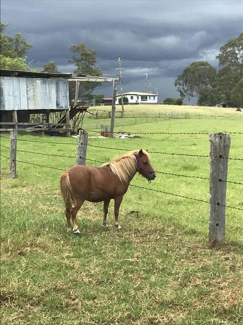 AMs Farm Stay - Timeshare Accommodation 0