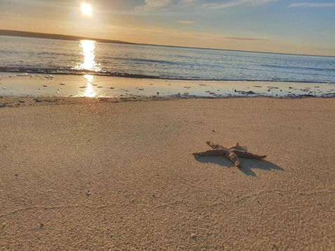 Matildas Of Kangaroo Island - Timeshare Accommodation 1