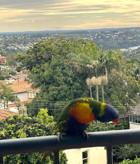 Mosman Views, 2bed, Parking, 15min Walk To Beach - Timeshare Accommodation 1