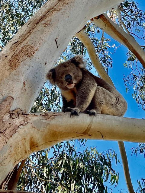 MrandMrs Fish Cabins - Timeshare Accommodation 1