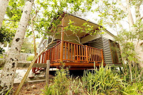 Mt Warning Rainforest Park - Timeshare Accommodation 1