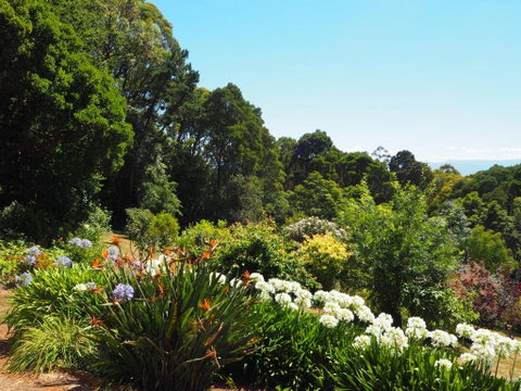 Murrindindi - Timeshare Accommodation 0