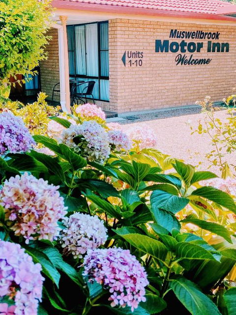 Muswellbrook Motor Inn - Timeshare Accommodation 0